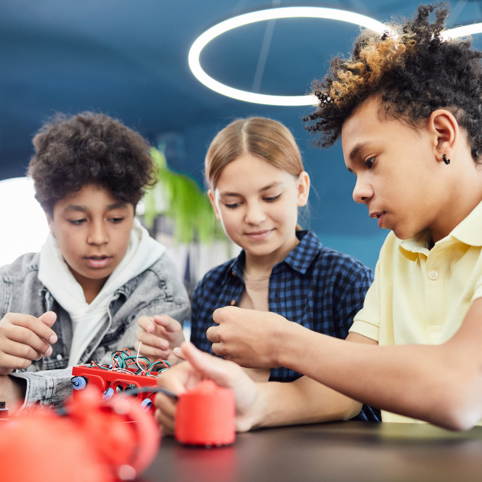 Photo of beautifully arranged food