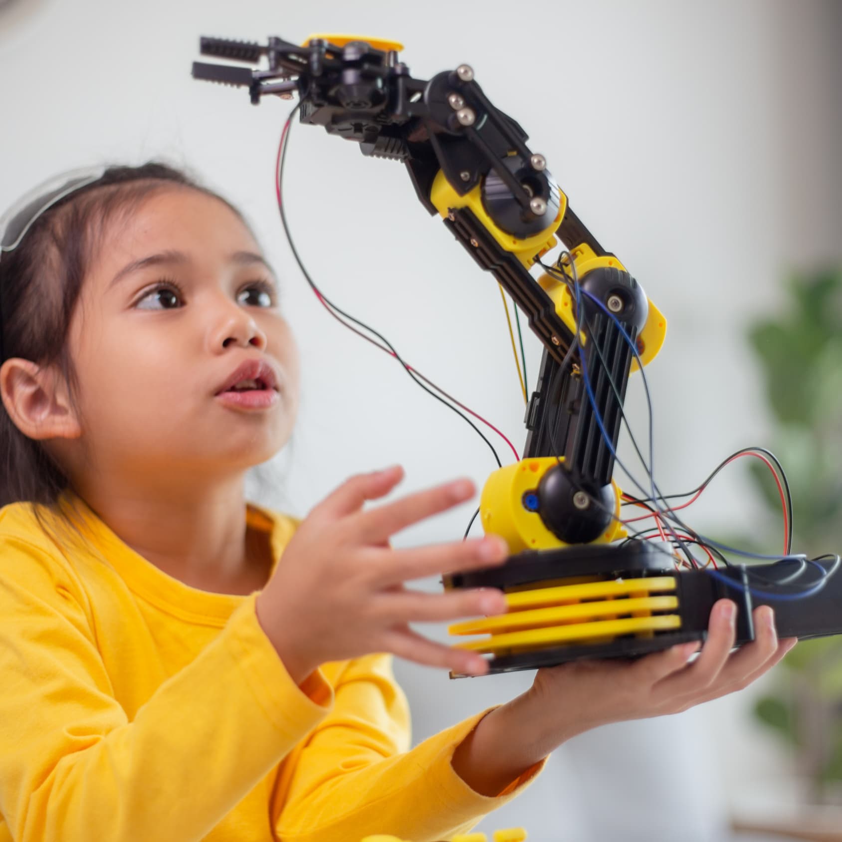 Photo of beautifully arranged food